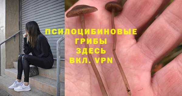 каннабис Арсеньев