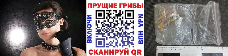 Псилоцибиновые грибы Cubensis  Красноярск 